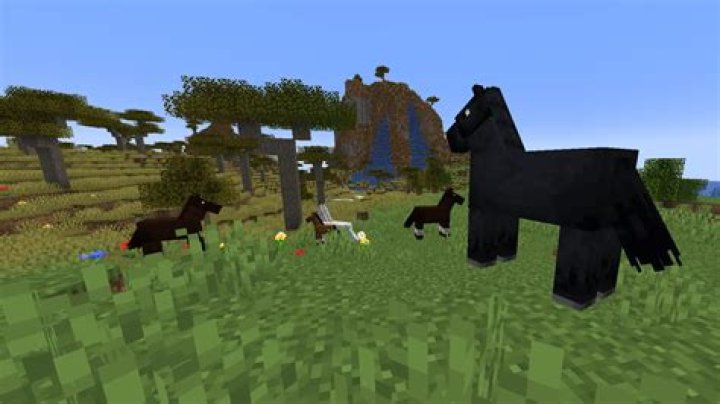 Where do horses spawn in minecraft