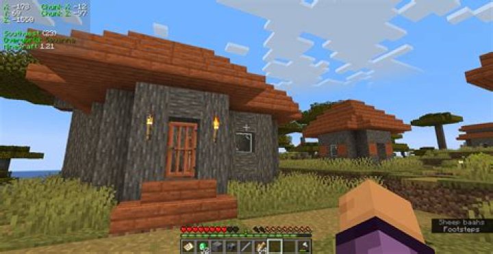 Where do minecraft screenshots go