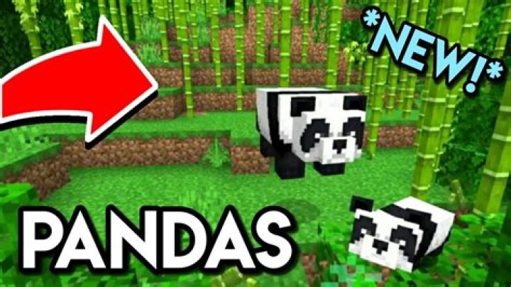 Where do pandas spawn in minecraft