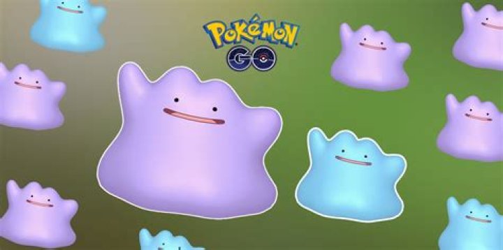 Where do you find ditto in pokemon go
