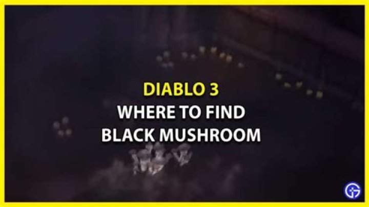 Where is the black mushroom in diablo 3