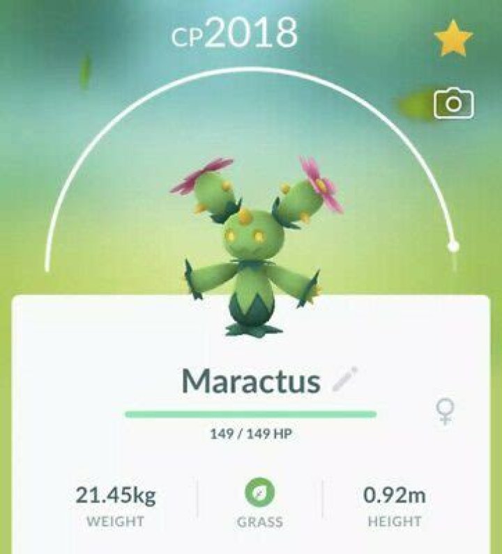 Where to catch maractus pokemon go