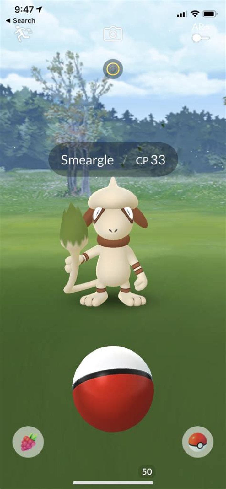 Where to catch smeargle pokemon go