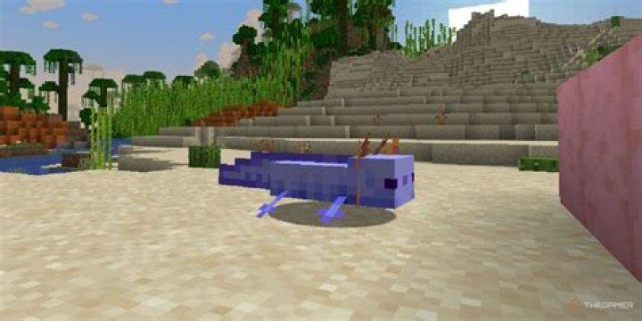 Where to find axolotl minecraft 1.18