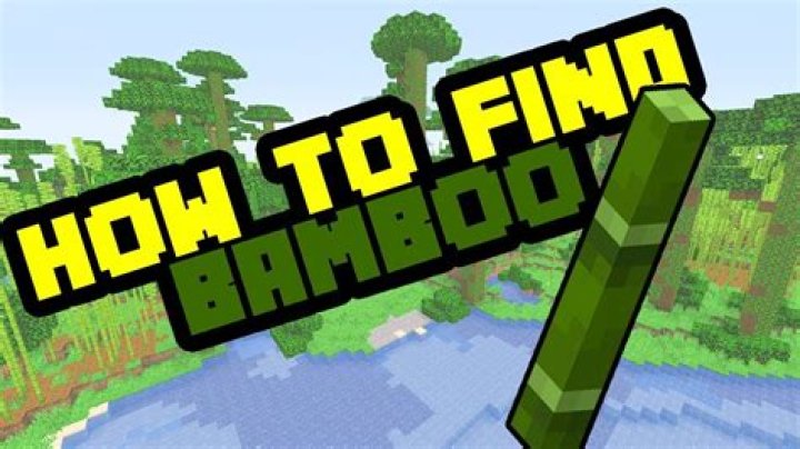 Where to find bamboo in minecraft