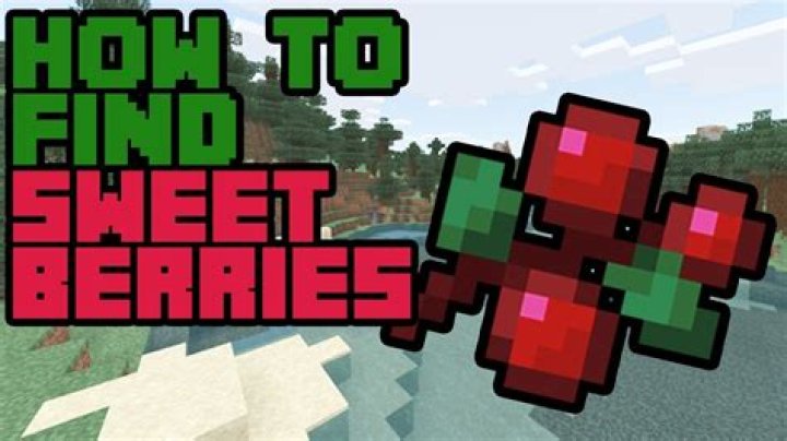 Where to find berries in minecraft