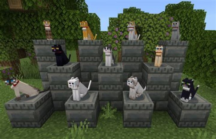 Where to find cats in minecraft
