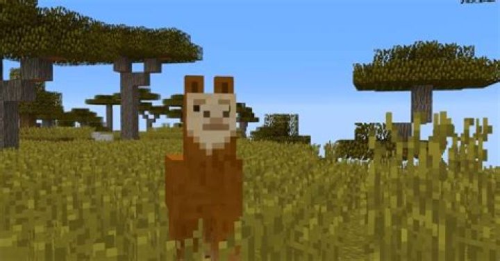 Where to find llamas in minecraft