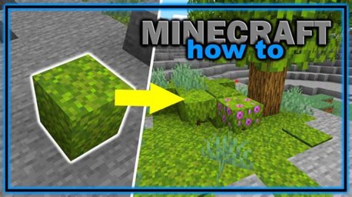 Where to find moss minecraft