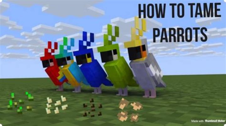Where to find parrots in minecraft