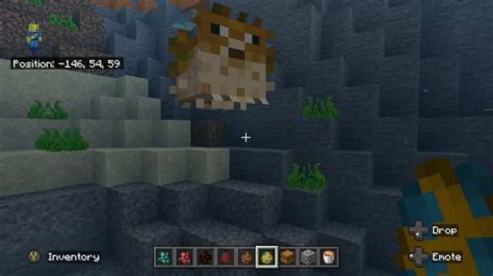 Where to find pufferfish in minecraft