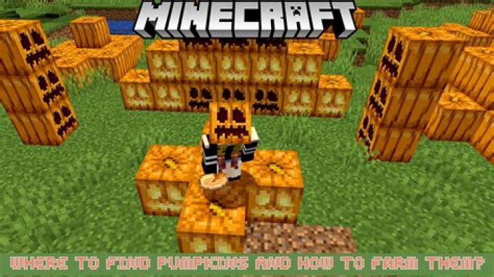 Where to find pumpkins in minecraft