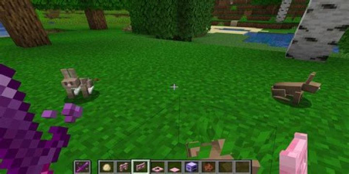 Where to find rabbits in minecraft