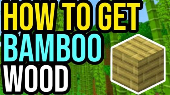 Where to get bamboo minecraft