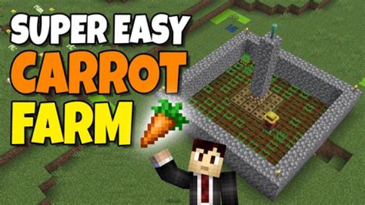 Where to get carrots in minecraft