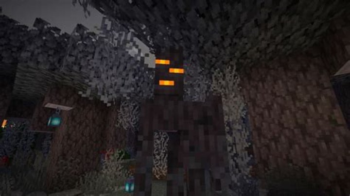 Who won minecraft ultimate