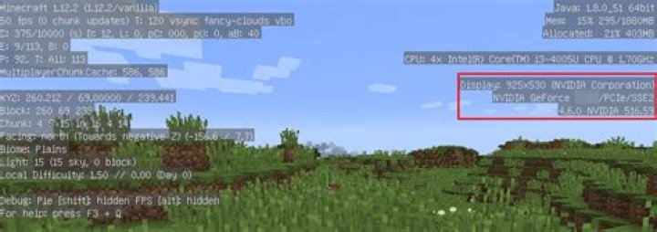 Why am i getting low fps in minecraft