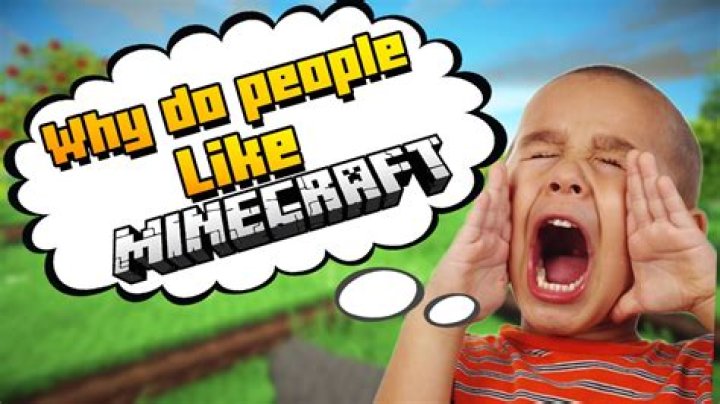 Why do people like minecraft