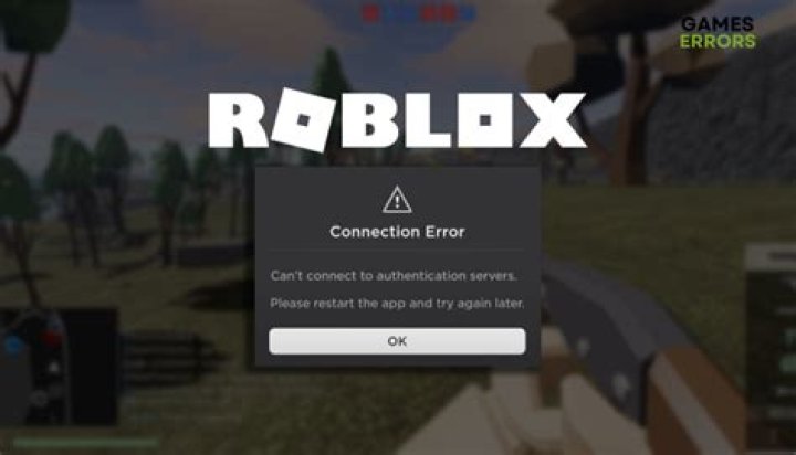 Why does roblox say connection error