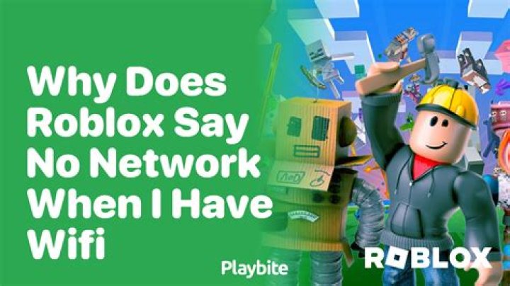 Why does roblox say no network