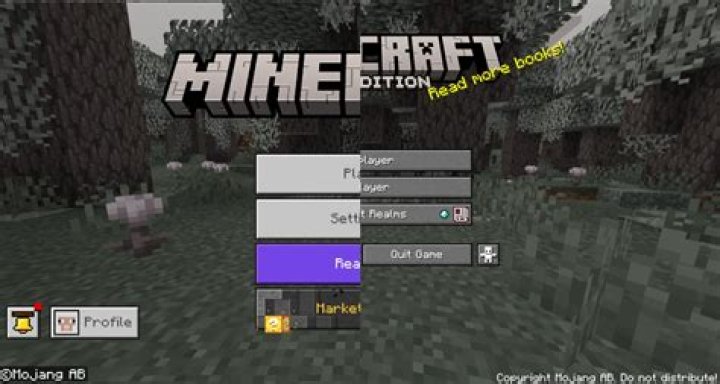 Why does youtube have minecraft