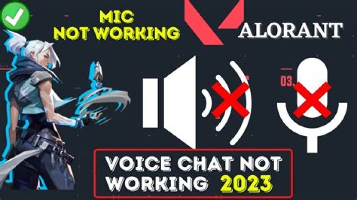 Why is my mic not working in valorant