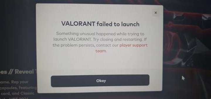 Why is my valorant fps so low