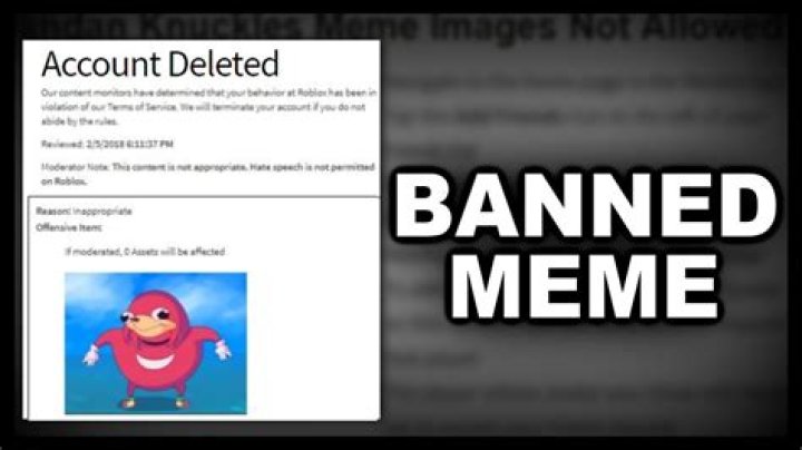 Why is ugandan knuckles banned from roblox