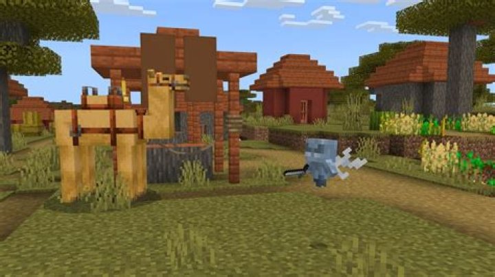 Why isn’t my minecraft working