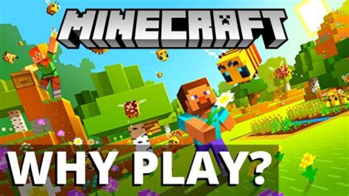 Why play minecraft