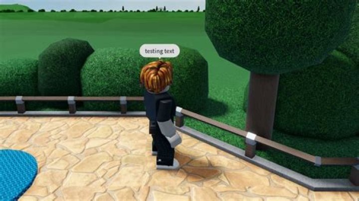 Why roblox tag